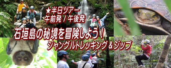 石垣島は亜熱帯ジャングルも楽しい！
